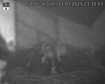 Capi_Dubne_20250711_233003.jpg