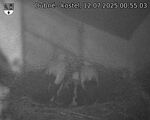 Capi_Dubne_20250712_005503.jpg
