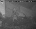 Capi_Dubne_20250712_014003.jpg