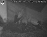 Capi_Dubne_20250712_033503.jpg