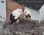 Capi_Dubne_20250712_060003.jpg