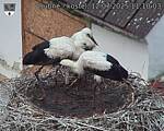 Capi_Dubne_20250712_111003.jpg