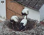 Capi_Dubne_20250712_114003.jpg