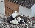 Capi_Dubne_20250712_122503.jpg