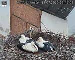 Capi_Dubne_20250712_124503.jpg