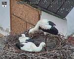 Capi_Dubne_20250712_131503.jpg