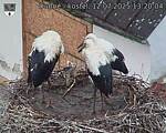 Capi_Dubne_20250712_132004.jpg