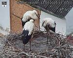 Capi_Dubne_20250712_133503.jpg