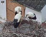 Capi_Dubne_20250712_134003.jpg