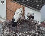 Capi_Dubne_20250712_143503.jpg