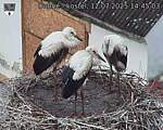 Capi_Dubne_20250712_144503.jpg