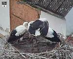 Capi_Dubne_20250712_160504.jpg