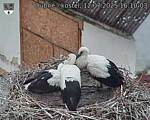 Capi_Dubne_20250712_161003.jpg
