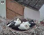 Capi_Dubne_20250712_165003.jpg