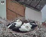 Capi_Dubne_20250712_165503.jpg
