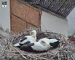 Capi_Dubne_20250712_170503.jpg