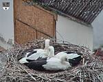 Capi_Dubne_20250712_171003.jpg