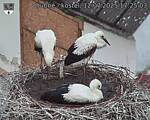 Capi_Dubne_20250712_172503.jpg