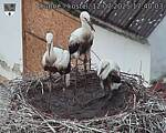 Capi_Dubne_20250712_174003.jpg