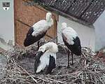Capi_Dubne_20250712_182004.jpg