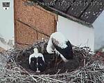 Capi_Dubne_20250712_191004.jpg