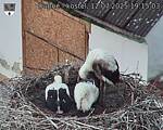 Capi_Dubne_20250712_191503.jpg