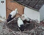 Capi_Dubne_20250712_192004.jpg