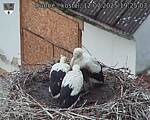 Capi_Dubne_20250712_192503.jpg