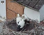 Capi_Dubne_20250712_193003.jpg