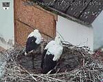 Capi_Dubne_20250712_194504.jpg