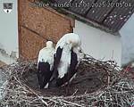 Capi_Dubne_20250712_200504.jpg