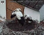 Capi_Dubne_20250712_201503.jpg