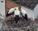 Capi_Dubne_20250712_203503.jpg