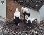 Capi_Dubne_20250712_204003.jpg