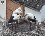 Capi_Dubne_20250712_205003.jpg
