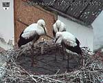 Capi_Dubne_20250712_205502.jpg
