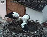 Capi_Dubne_20250712_210503.jpg