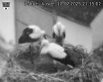 Capi_Dubne_20250712_211502.jpg