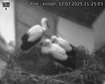 Capi_Dubne_20250712_212503.jpg
