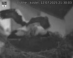 Capi_Dubne_20250712_213003.jpg