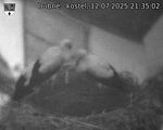Capi_Dubne_20250712_213502.jpg