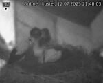 Capi_Dubne_20250712_214003.jpg