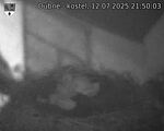 Capi_Dubne_20250712_215003.jpg