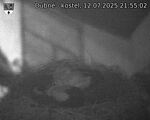 Capi_Dubne_20250712_215502.jpg