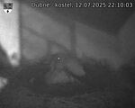 Capi_Dubne_20250712_221003.jpg