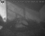Capi_Dubne_20250712_223003.jpg