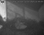 Capi_Dubne_20250712_224503.jpg