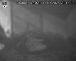 Capi_Dubne_20250712_231503.jpg