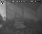 Capi_Dubne_20250712_232002.jpg