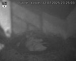 Capi_Dubne_20250712_232503.jpg